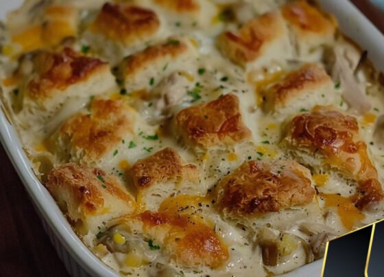 Creamed Chicken and Biscuits Casserole prepared at home with simple ingredients and clear steps.