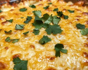 Baked Mexican Cheese Dip prepared at home with simple ingredients and clear steps.